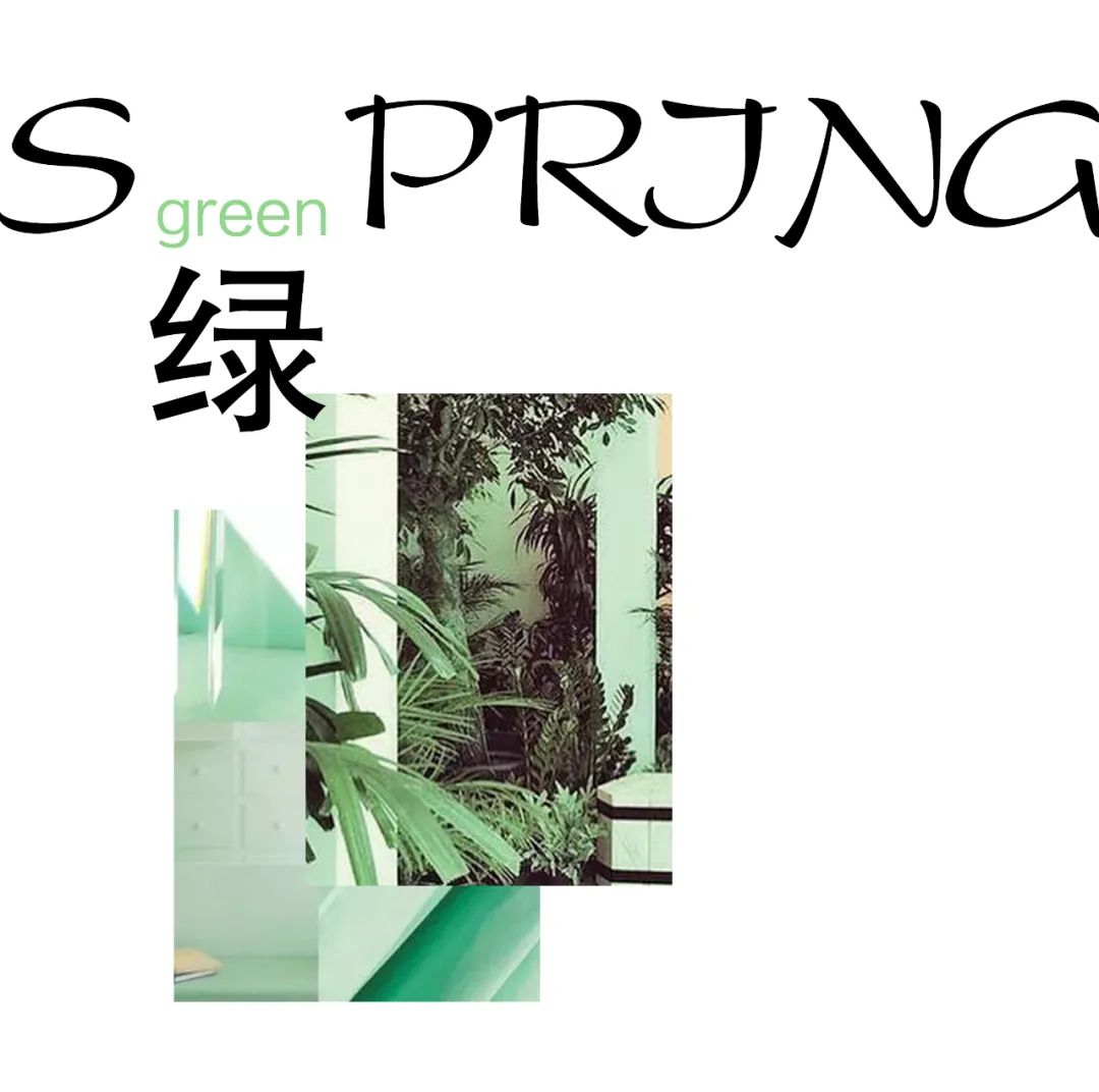 m···X Larchy 上新 | 这个春天需要被治愈！