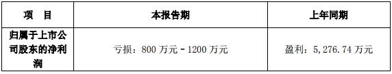 朗姿股份第一季度预亏损800万元–1200万元