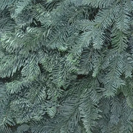 1590463065_716413570.jpg 640.webp.jpg