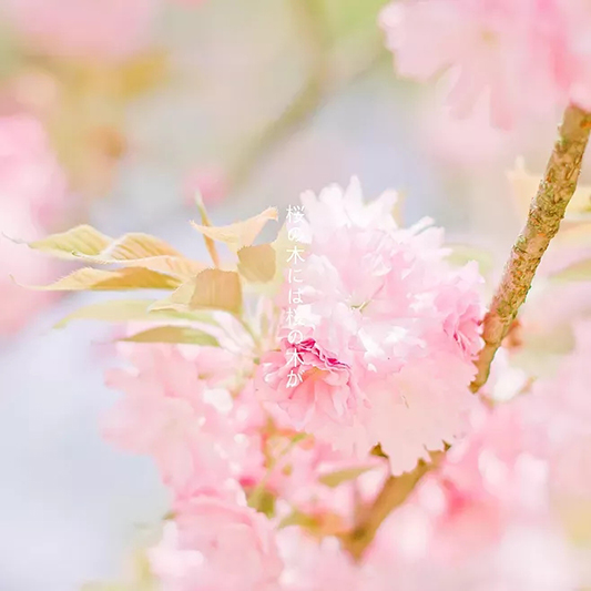 1590463149_941913262.jpg 640.webp (1).jpg