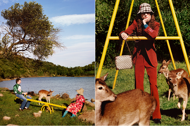 GUCCI 为何爱在广告中拍小动物？