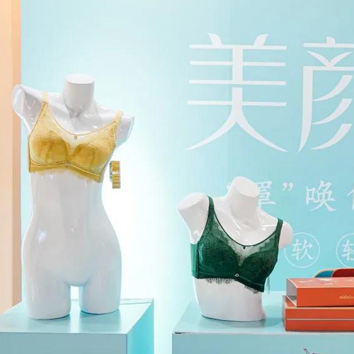 “中国爱戴”-爱戴2021秋冬新品订货会暨战略峰会隆重举行！