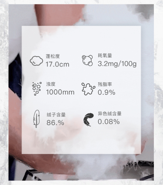 1666925582_322436146.png image.png