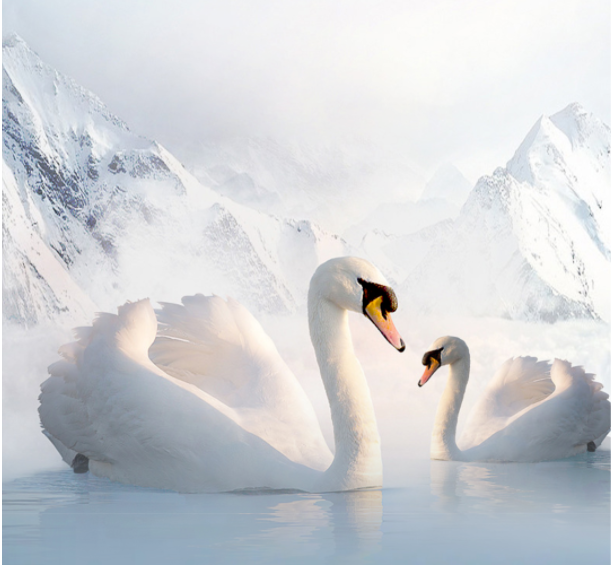 1668498551_947689993.png image.png