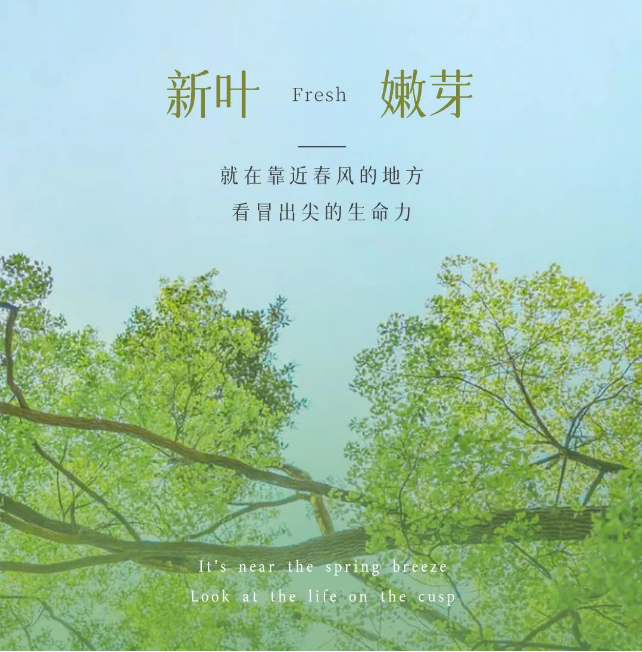 1675934594_597791318.png image.png