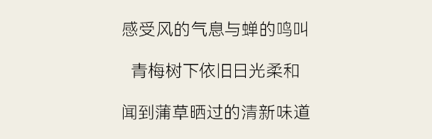 1687333378_118333339.png image.png