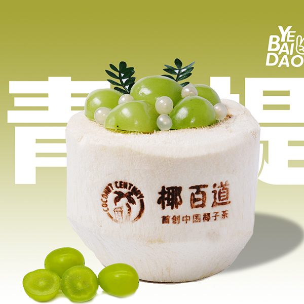 椰百道果茶加盟 助力创业，实现财富梦想轻松享受！