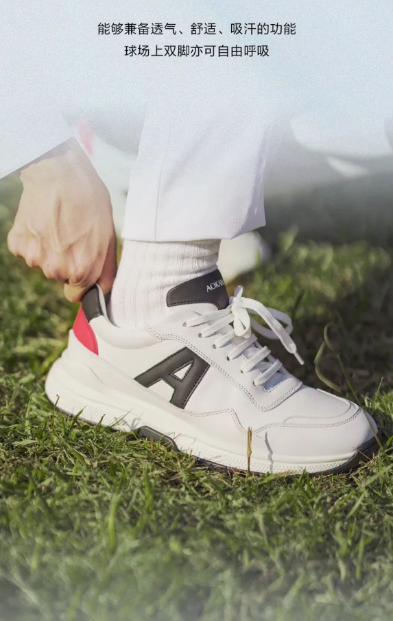 1701155309_734280658.png image.png