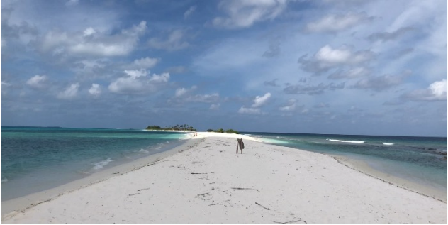 1705629169_910577469.png image.png