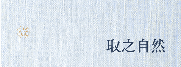 EP YAYING雅莹国风  民族的明悦