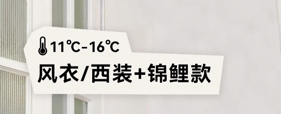 1708679777_546764827.png image.png