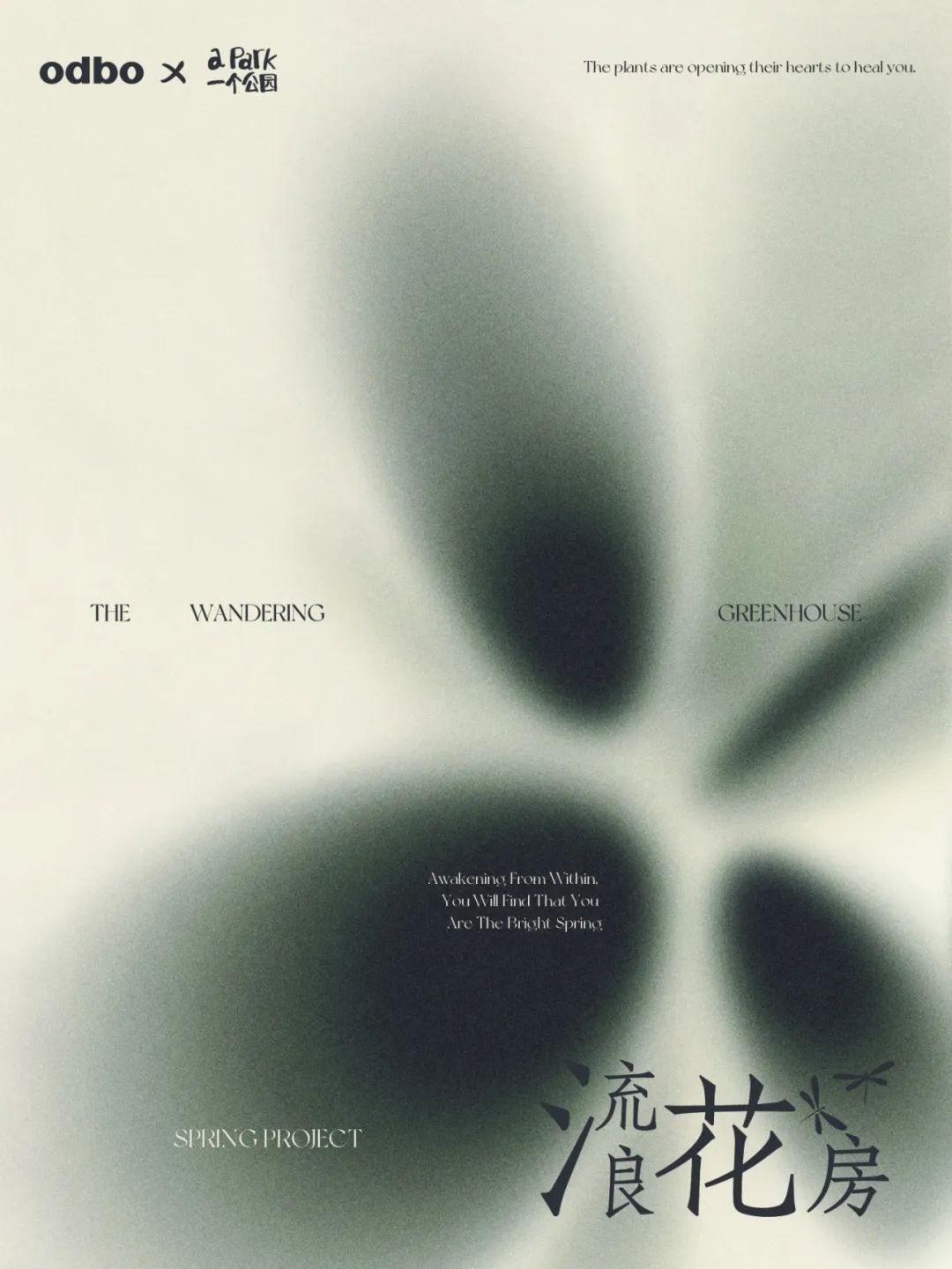 odbo春天结束流浪，正式在你的世界常驻！