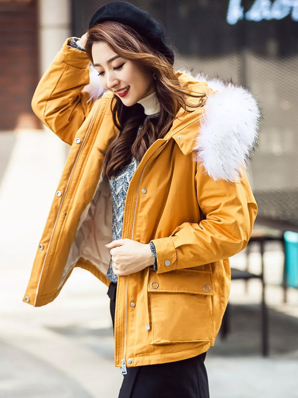 GEJIN歌锦女装2019秋冬新品